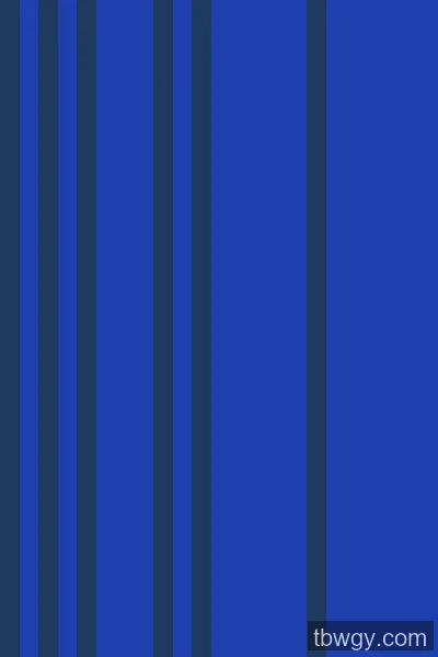 APP预览